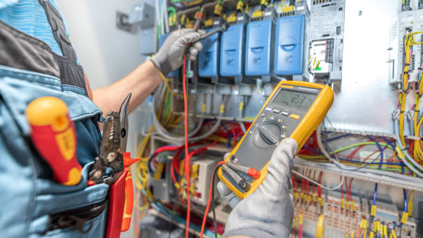 Best Electric Panel Repair  in Plainwell, MI